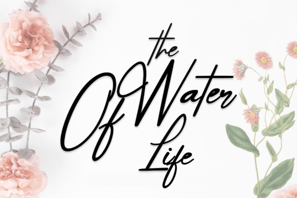Boost Your Campaign with The Water of Life Font