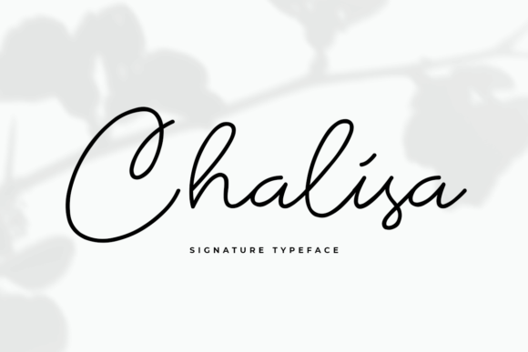 Chalisa: A Smooth Script Font for Handmade Creations