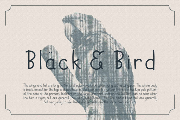 Discover the Charm of Black Bird: A Handwritten Font for Editorial Design
