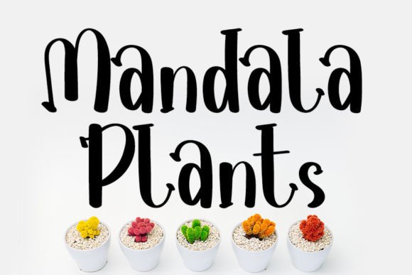 Elegant Handwritten Font: Mandala Plants for Web Design