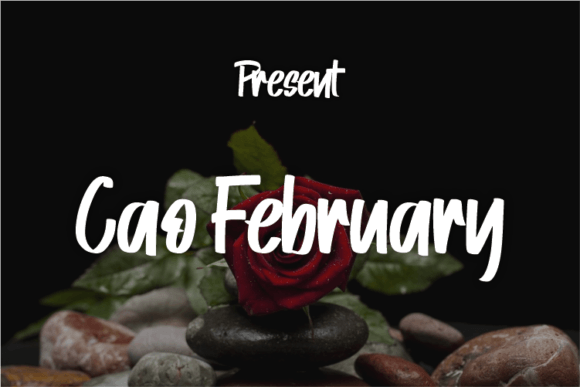 Enhance Your Brand with Cao February: A Modern Script Font