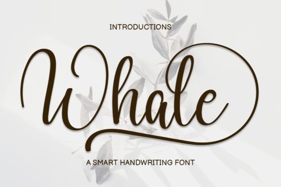 Whale: A Handwritten Font for Creative Web Design
