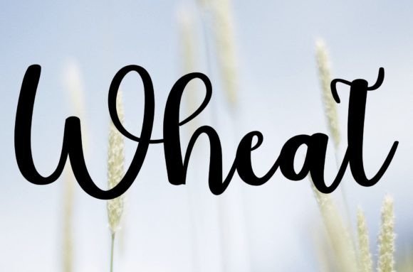 Wheat: A Handwritten Font for Polished Branding